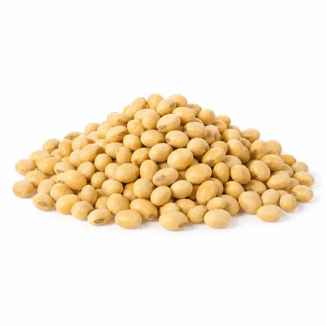 Beans Packaging