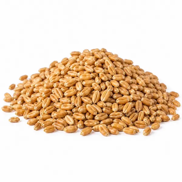 Wheat Packaging
